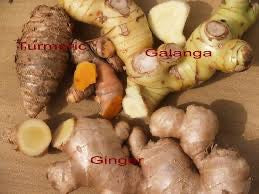 Ginger, Turmeric and Galangal Powder