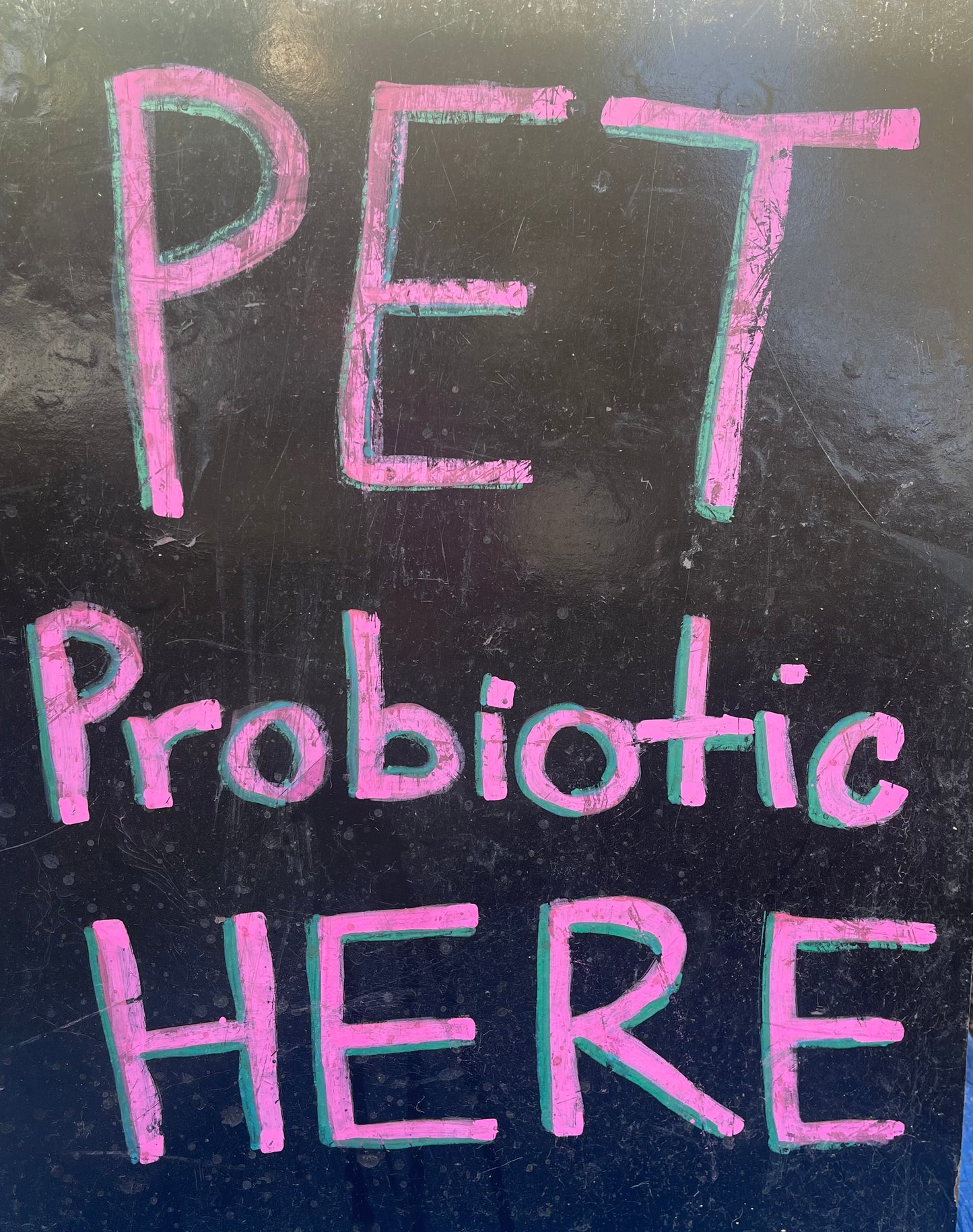 Pet Probiotics