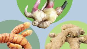 Ginger, Turmeric and Galangal Powder