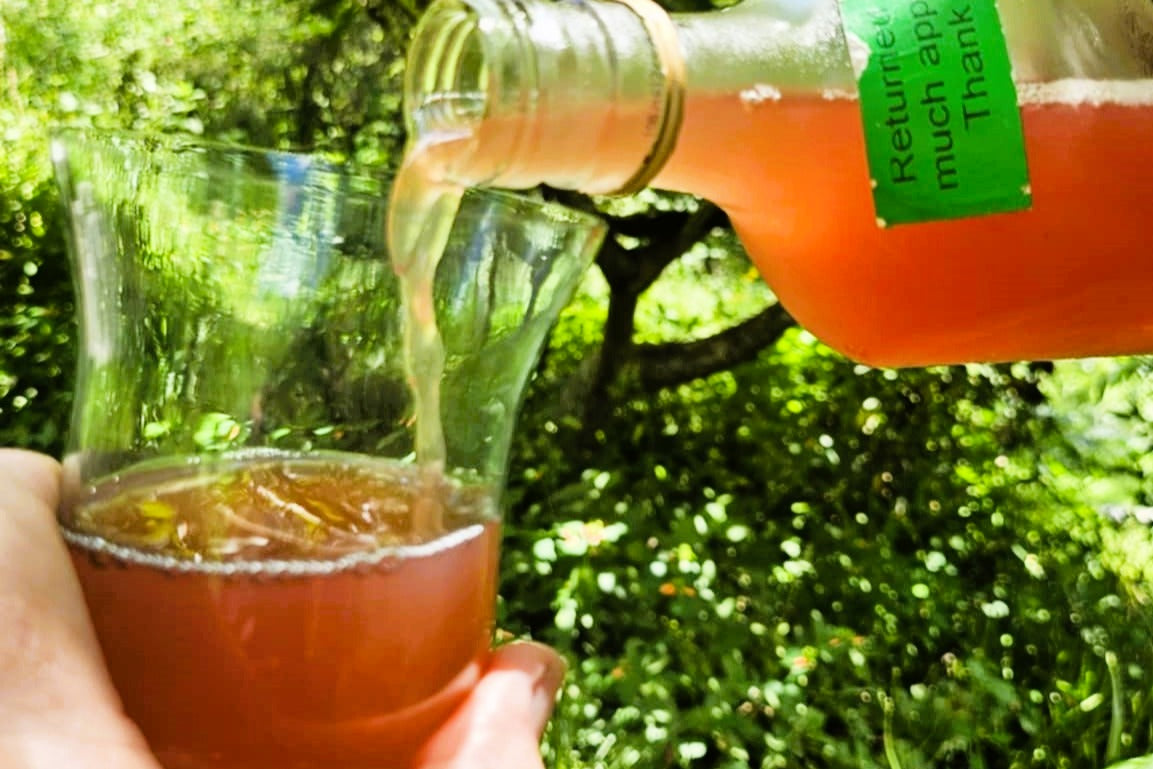 Di’s Living Probiotic Soda