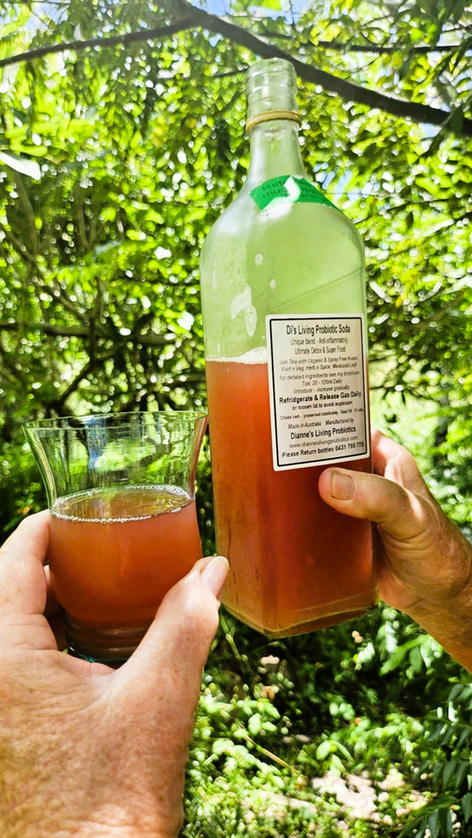 Di’s Living Probiotic Soda