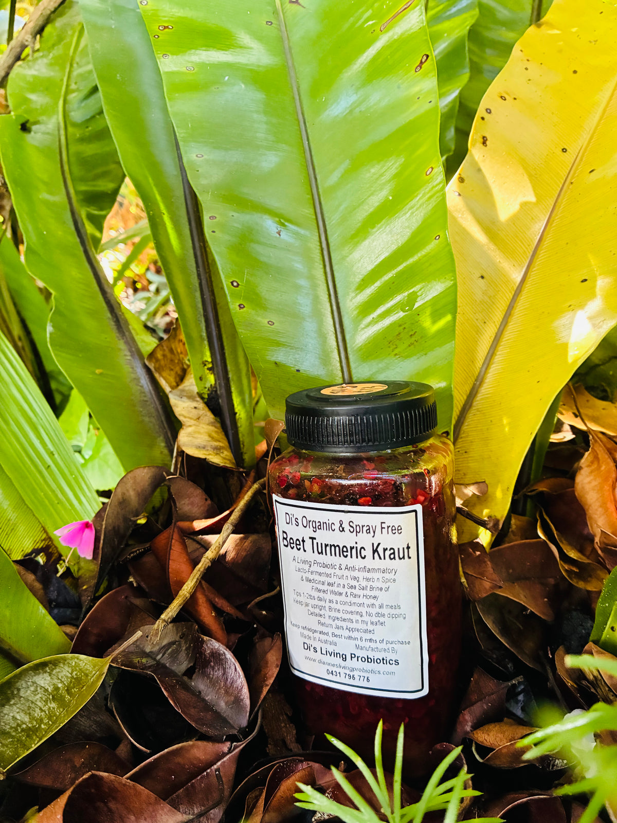 Turmeric Beet Kraut