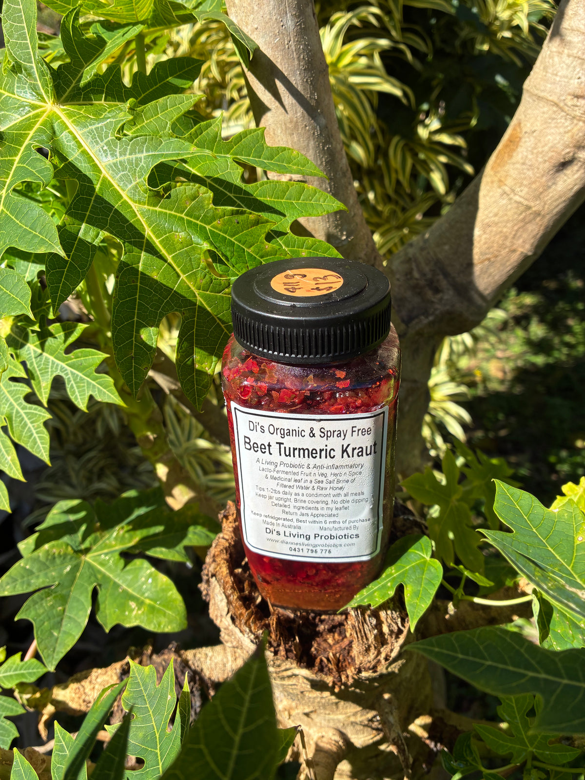 Turmeric Beet Kraut