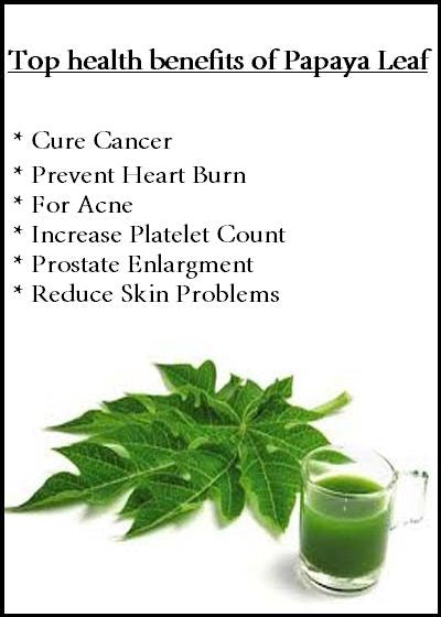 Moringa and Papaya Leaf Powder