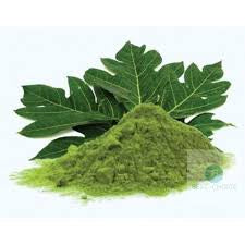 Moringa and Papaya Leaf Elixir